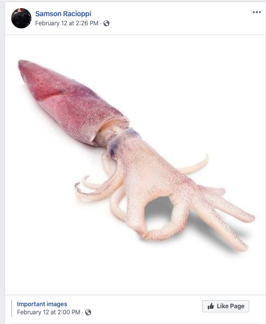 Screenshot of facebook post by Samson Racioppi on February 12th which shows a squid whose tentacles are photoshopped to be a hand making the okay sign.